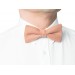 Linen peach (bellini) bow tie