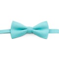 Linen mint (spa) bow tie