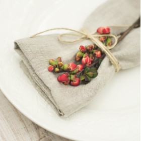 Natural linen napkins Natural linen napkins