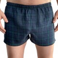 Blue-green tartan boxer underwear